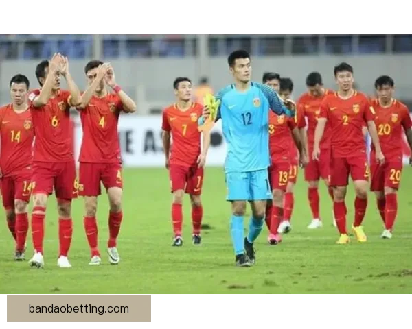 哈曼世界杯前最后一战后严批德国足协管理失误